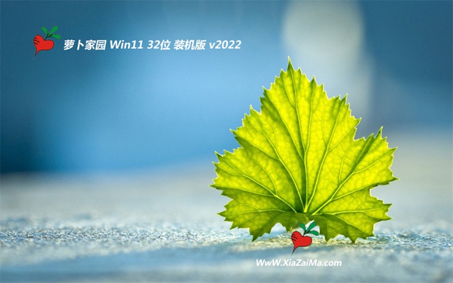 新萝卜家园免激活win11 32位流畅精英版v2022.04