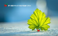 新萝卜家园win10汉化旗舰版64位v2021.12