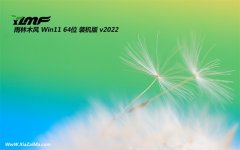 雨林木风win11免激活64位不卡顿无病毒版v2021.12